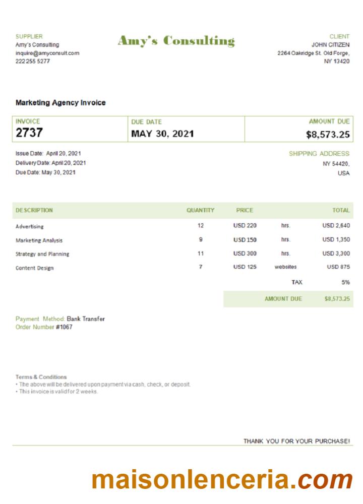 USA Amy' S Consulting invoice template